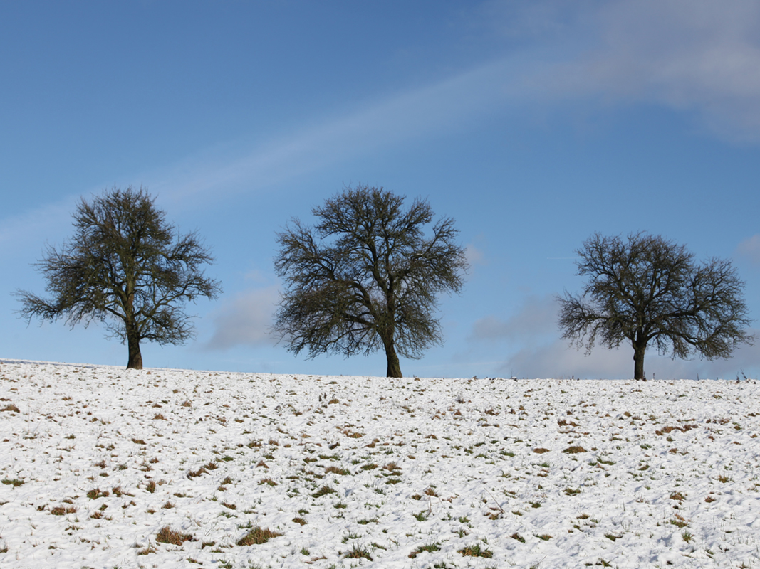 dreischoenheiten winter