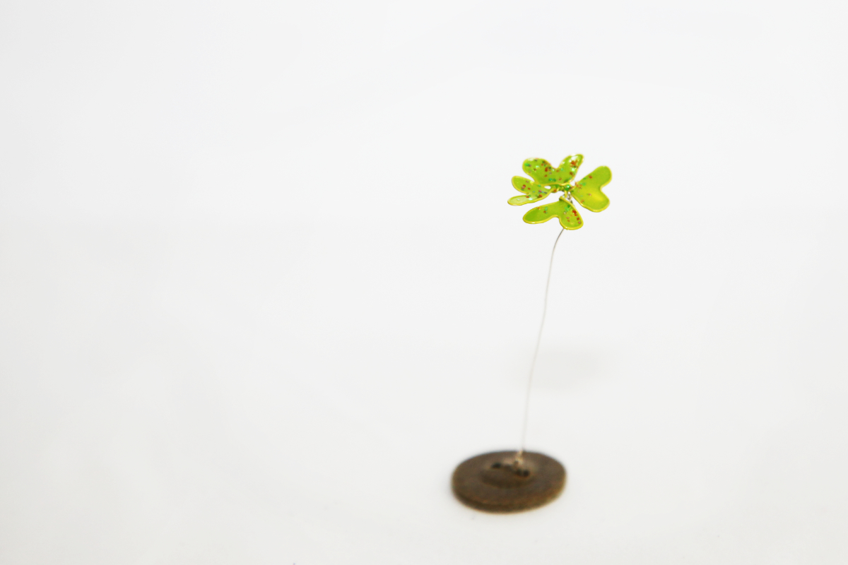 1Gluecksklee_knopf_BLITZ_1200x800