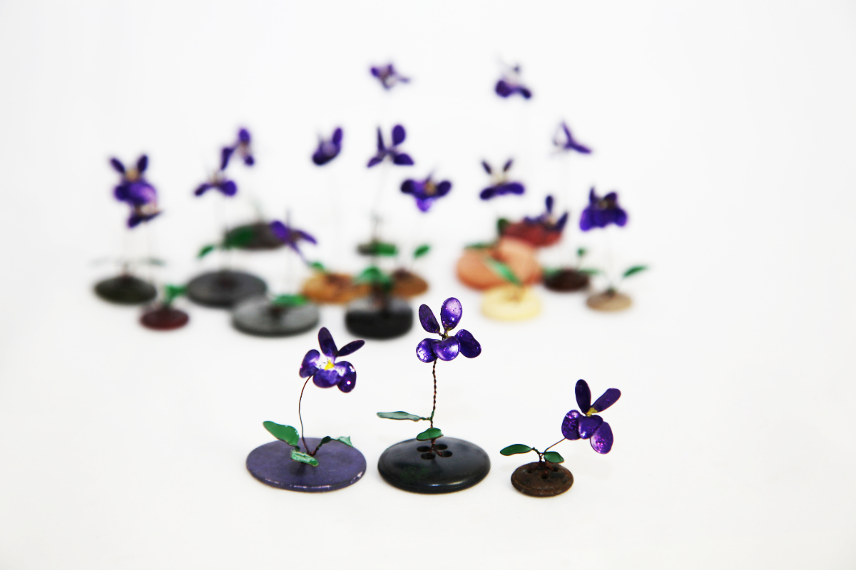 3Veilchen vorne_1200x800