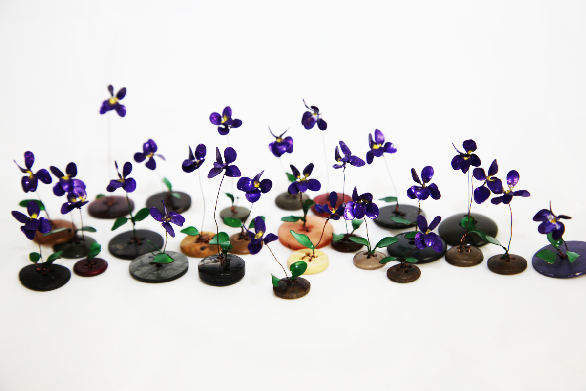 VIELEveilchen 1200x800