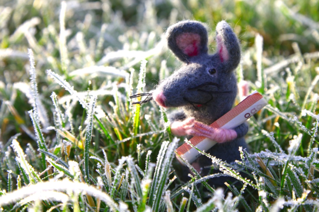 IMG_6605 berta 1200x800